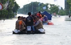Tinjau Banjir Demak, Penanganan Pengungsi dan Perbaikan Tanggul Jadi Prioritas Darurat